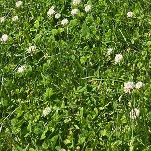 Meet your Posher, Estefani